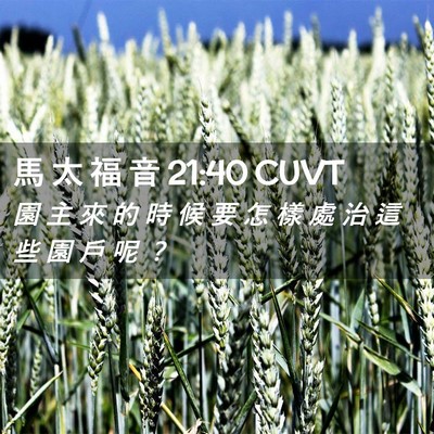 Picture 02 - 馬 太 福 音 21:40 CUVT - 園 主 來 的 時 候 要 怎 樣 處 治 這 - Bible Verse Picture