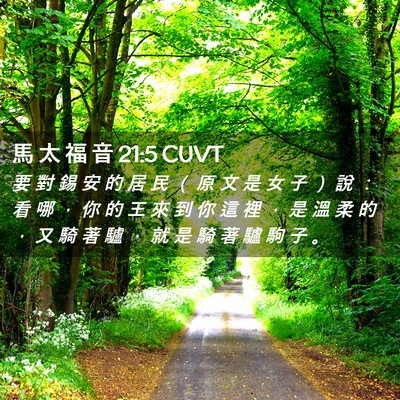 Picture 02 - 馬 太 福 音 21:5 CUVT - 要 對 錫 安 的 居 民 （ 原 文 是 女 - Bible Verse Picture