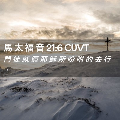 Picture 02 - 馬 太 福 音 21:6 CUVT - 門 徒 就 照 耶 穌 所 吩 咐 的 去 行 - Bible Verse Picture