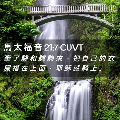 Picture 02 - 馬 太 福 音 21:7 CUVT - 牽 了 驢 和 驢 駒 來 ， 把 自 己 的 - Bible Verse Picture