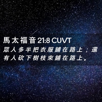 Picture 02 - 馬 太 福 音 21:8 CUVT - 眾 人 多 半 把 衣 服 鋪 在 路 上 ； - Bible Verse Picture