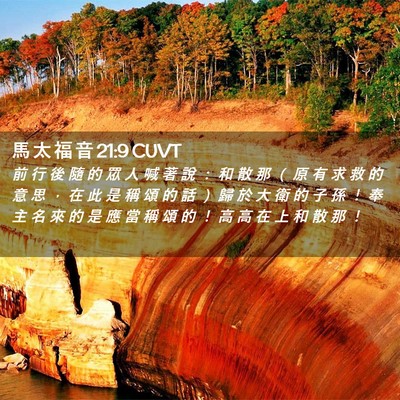 Picture 02 - 馬 太 福 音 21:9 CUVT - 前 行 後 隨 的 眾 人 喊 著 說 ： 和 - Bible Verse Picture