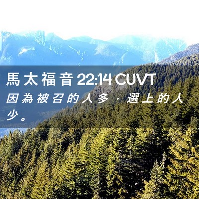 Picture 02 - 馬 太 福 音 22:14 CUVT - 因 為 被 召 的 人 多 ， 選 上 的 人 - Bible Verse Picture