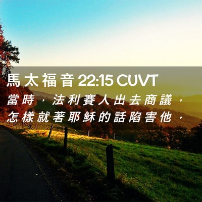Picture 02 - 馬 太 福 音 22:15 CUVT - 當 時 ， 法 利 賽 人 出 去 商 議 ， - Bible Verse Picture