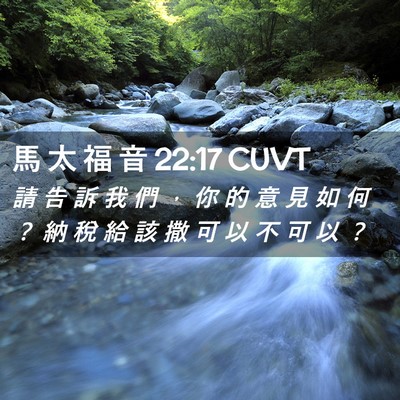 Picture 02 - 馬 太 福 音 22:17 CUVT - 請 告 訴 我 們 ， 你 的 意 見 如 何 - Bible Verse Picture