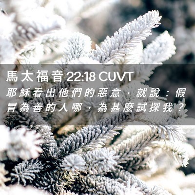 Picture 02 - 馬 太 福 音 22:18 CUVT - 耶 穌 看 出 他 們 的 惡 意 ， 就 說 - Bible Verse Picture