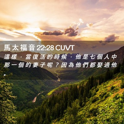 Picture 02 - 馬 太 福 音 22:28 CUVT - 這 樣 ， 當 復 活 的 時 候 ， 他 是 - Bible Verse Picture