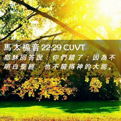 Picture 02 - 馬 太 福 音 22:29 CUVT - 耶 穌 回 答 說 ： 你 們 錯 了 ； 因 - Bible Verse Picture