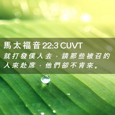 Picture 02 - 馬 太 福 音 22:3 CUVT - 就 打 發 僕 人 去 ， 請 那 些 被 召 - Bible Verse Picture