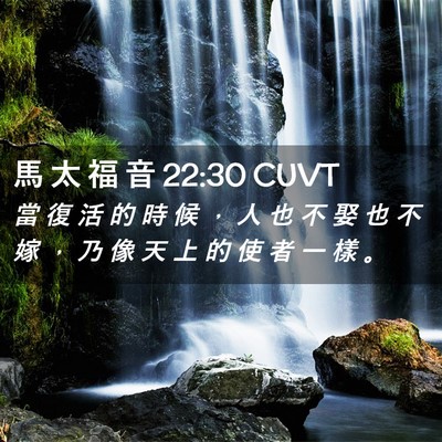 Picture 02 - 馬 太 福 音 22:30 CUVT - 當 復 活 的 時 候 ， 人 也 不 娶 也 - Bible Verse Picture
