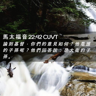Picture 02 - 馬 太 福 音 22:42 CUVT - 論 到 基 督 ， 你 們 的 意 見 如 何 - Bible Verse Picture