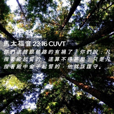 Picture 02 - 馬 太 福 音 23:16 CUVT - 你 們 這 瞎 眼 領 路 的 有 禍 了 ！ - Bible Verse Picture