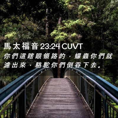 Picture 02 - 馬 太 福 音 23:24 CUVT - 你 們 這 瞎 眼 領 路 的 ， 蠓 蟲 你 - Bible Verse Picture