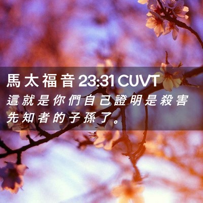 Picture 02 - 馬 太 福 音 23:31 CUVT - 這 就 是 你 們 自 己 證 明 是 殺 害 - Bible Verse Picture