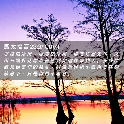 Picture 02 - 馬 太 福 音 23:37 CUVT - 耶 路 撒 冷 阿 ， 耶 路 撒 冷 阿 ， - Bible Verse Picture