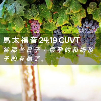 Picture 02 - 馬 太 福 音 24:19 CUVT - 當 那 些 日 子 ， 懷 孕 的 和 奶 孩 - Bible Verse Picture
