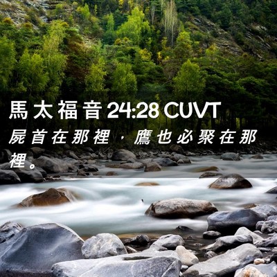 Picture 02 - 馬 太 福 音 24:28 CUVT - 屍 首 在 那 裡 ， 鷹 也 必 聚 在 那 - Bible Verse Picture