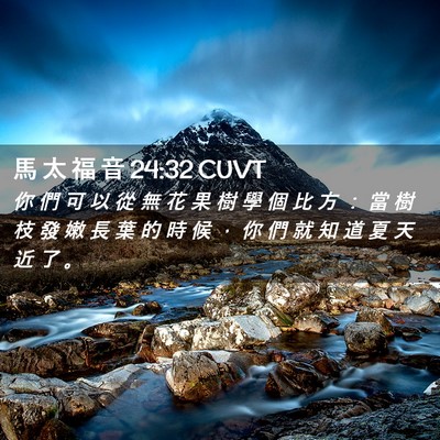Picture 02 - 馬 太 福 音 24:32 CUVT - 你 們 可 以 從 無 花 果 樹 學 個 比 - Bible Verse Picture