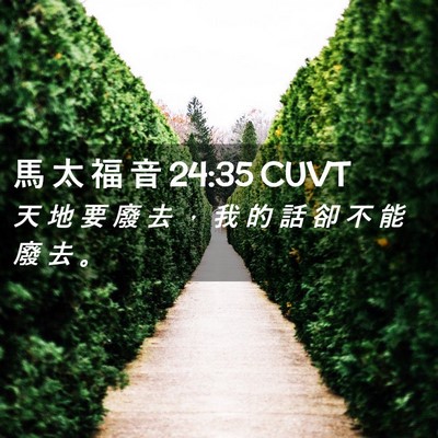Picture 02 - 馬 太 福 音 24:35 CUVT - 天 地 要 廢 去 ， 我 的 話 卻 不 能 - Bible Verse Picture