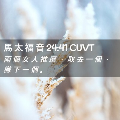 Picture 02 - 馬 太 福 音 24:41 CUVT - 兩 個 女 人 推 磨 ， 取 去 一 個 ， - Bible Verse Picture