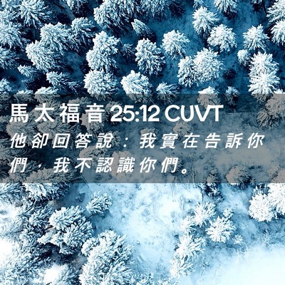 Picture 02 - 馬 太 福 音 25:12 CUVT - 他 卻 回 答 說 ： 我 實 在 告 訴 你 - Bible Verse Picture