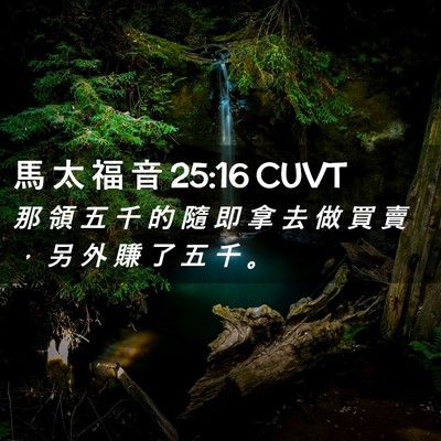 Picture 02 - 馬 太 福 音 25:16 CUVT - 那 領 五 千 的 隨 即 拿 去 做 買 賣 - Bible Verse Picture