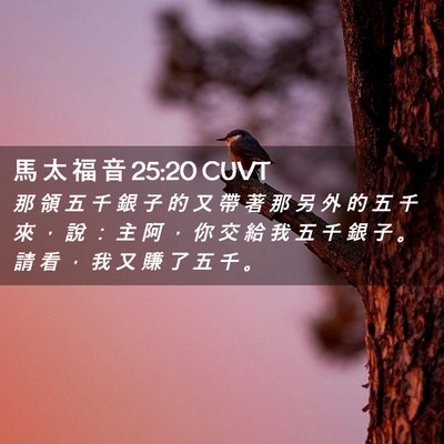 Picture 02 - 馬 太 福 音 25:20 CUVT - 那 領 五 千 銀 子 的 又 帶 著 那 另 - Bible Verse Picture