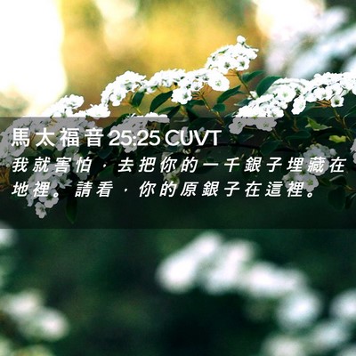Picture 02 - 馬 太 福 音 25:25 CUVT - 我 就 害 怕 ， 去 把 你 的 一 千 銀 - Bible Verse Picture