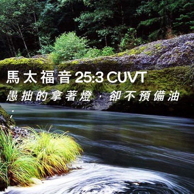Picture 02 - 馬 太 福 音 25:3 CUVT - 愚 拙 的 拿 著 燈 ， 卻 不 預 備 油 - Bible Verse Picture