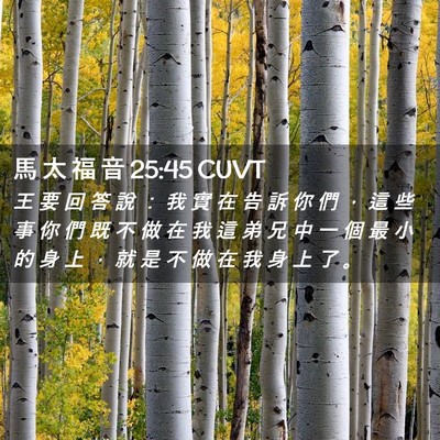 Picture 02 - 馬 太 福 音 25:45 CUVT - 王 要 回 答 說 ： 我 實 在 告 訴 你 - Bible Verse Picture