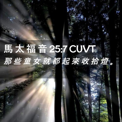 Picture 02 - 馬 太 福 音 25:7 CUVT - 那 些 童 女 就 都 起 來 收 拾 燈 - Bible Verse Picture