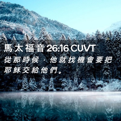 Picture 02 - 馬 太 福 音 26:16 CUVT - 從 那 時 候 ， 他 就 找 機 會 要 把 - Bible Verse Picture