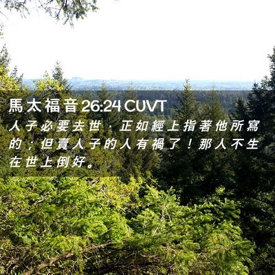 Picture 02 - 馬 太 福 音 26:24 CUVT - 人 子 必 要 去 世 ， 正 如 經 上 指 - Bible Verse Picture