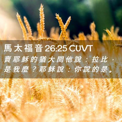 Picture 02 - 馬 太 福 音 26:25 CUVT - 賣 耶 穌 的 猶 大 問 他 說 ： 拉 比 - Bible Verse Picture