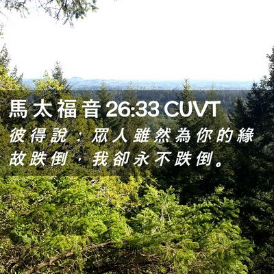 Picture 02 - 馬 太 福 音 26:33 CUVT - 彼 得 說 ： 眾 人 雖 然 為 你 的 緣 - Bible Verse Picture