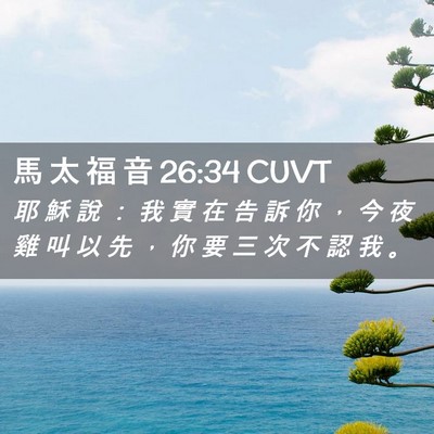 Picture 02 - 馬 太 福 音 26:34 CUVT - 耶 穌 說 ： 我 實 在 告 訴 你 ， 今 - Bible Verse Picture