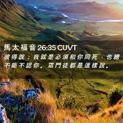 Picture 02 - 馬 太 福 音 26:35 CUVT - 彼 得 說 ： 我 就 是 必 須 和 你 同 - Bible Verse Picture