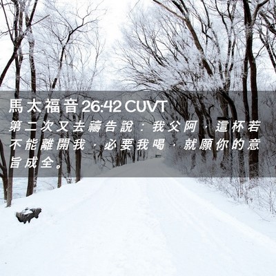Picture 02 - 馬 太 福 音 26:42 CUVT - 第 二 次 又 去 禱 告 說 ： 我 父 阿 - Bible Verse Picture