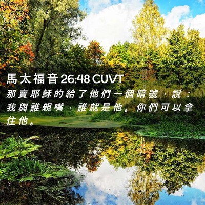 Picture 02 - 馬 太 福 音 26:48 CUVT - 那 賣 耶 穌 的 給 了 他 們 一 個 暗 - Bible Verse Picture