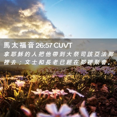 Picture 02 - 馬 太 福 音 26:57 CUVT - 拿 耶 穌 的 人 把 他 帶 到 大 祭 司 - Bible Verse Picture