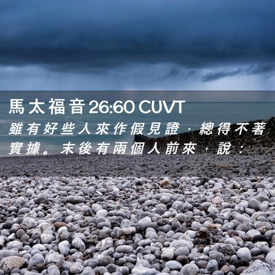 Picture 02 - 馬 太 福 音 26:60 CUVT - 雖 有 好 些 人 來 作 假 見 證 ， 總 - Bible Verse Picture