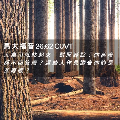 Picture 02 - 馬 太 福 音 26:62 CUVT - 大 祭 司 就 站 起 來 ， 對 耶 穌 說 - Bible Verse Picture