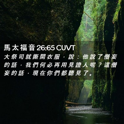Picture 02 - 馬 太 福 音 26:65 CUVT - 大 祭 司 就 撕 開 衣 服 ， 說 ： 他 - Bible Verse Picture