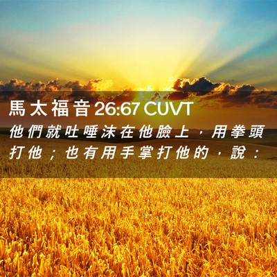 Picture 02 - 馬 太 福 音 26:67 CUVT - 他 們 就 吐 唾 沫 在 他 臉 上 ， 用 - Bible Verse Picture