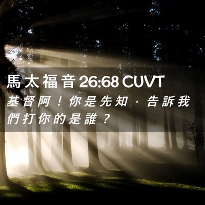 Picture 02 - 馬 太 福 音 26:68 CUVT - 基 督 阿 ！ 你 是 先 知 ， 告 訴 我 - Bible Verse Picture