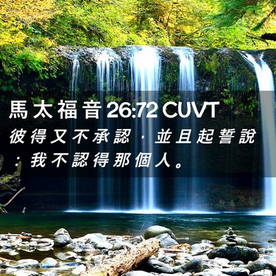 Picture 02 - 馬 太 福 音 26:72 CUVT - 彼 得 又 不 承 認 ， 並 且 起 誓 說 - Bible Verse Picture