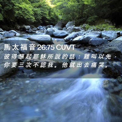Picture 02 - 馬 太 福 音 26:75 CUVT - 彼 得 想 起 耶 穌 所 說 的 話 ： 雞 - Bible Verse Picture