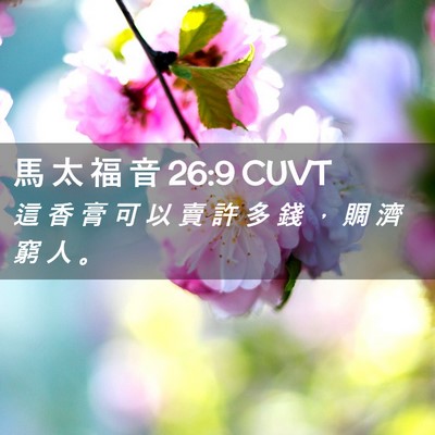 Picture 02 - 馬 太 福 音 26:9 CUVT - 這 香 膏 可 以 賣 許 多 錢 ， 賙 濟 - Bible Verse Picture