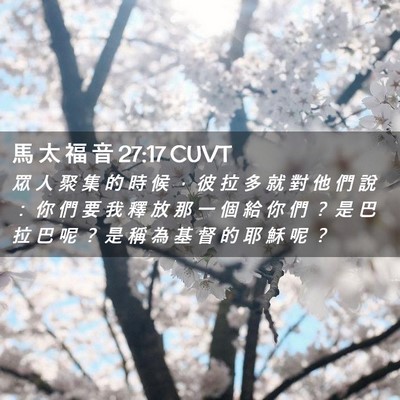 Picture 02 - 馬 太 福 音 27:17 CUVT - 眾 人 聚 集 的 時 候 ， 彼 拉 多 就 - Bible Verse Picture