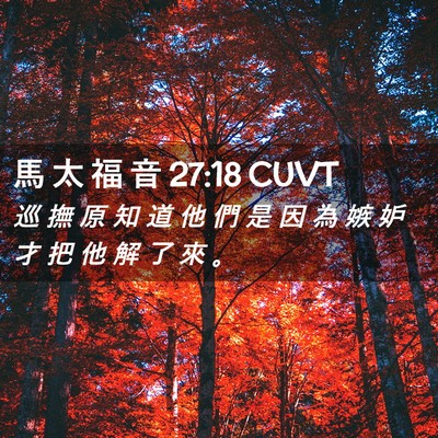 Picture 02 - 馬 太 福 音 27:18 CUVT - 巡 撫 原 知 道 他 們 是 因 為 嫉 妒 - Bible Verse Picture